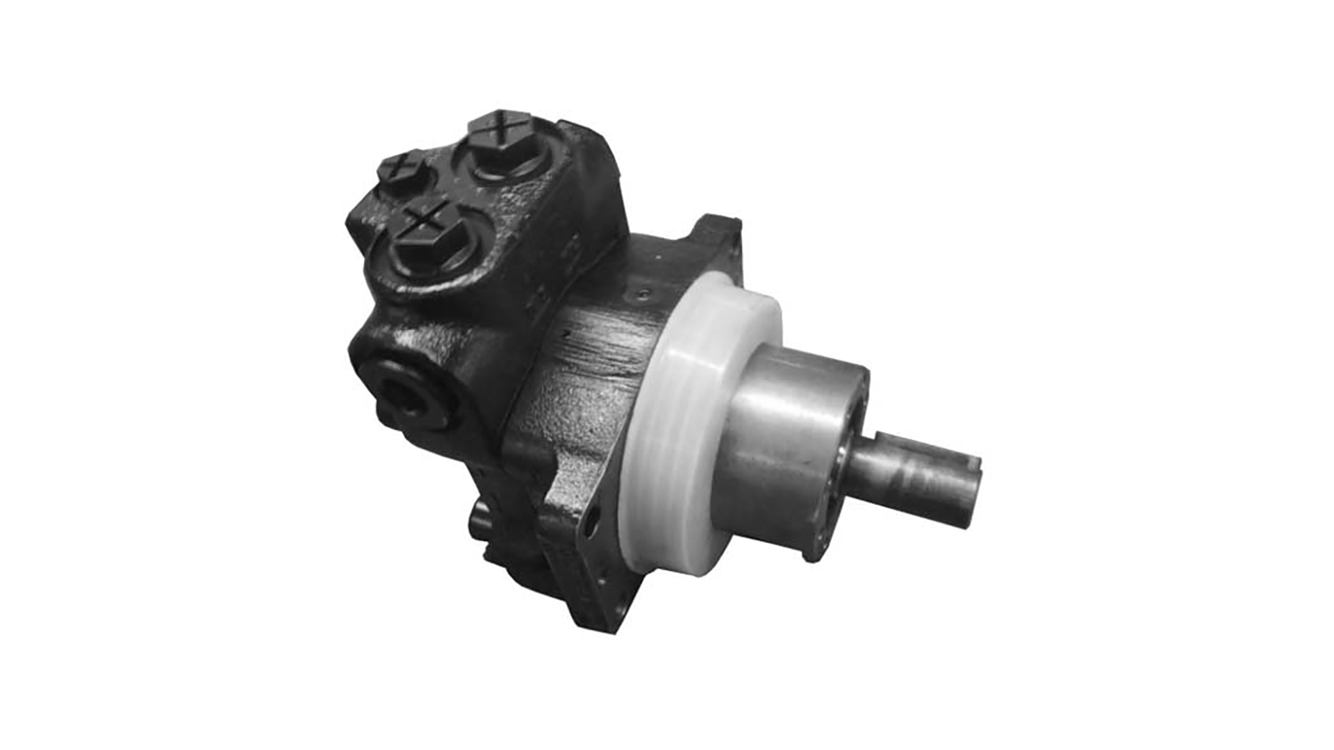 QXM42-032L-HS-NSKRG1PPA Гидромотор Bucher