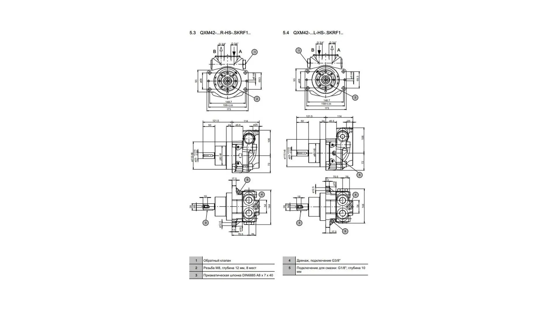 QXM42-020R-HS-FSKRG1PAA Гидромотор Bucher